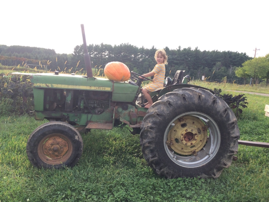  Sadie and a giant pumpkin on a tractor! 