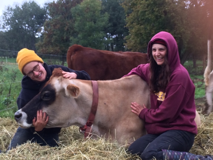  Hannah and Archer enjoying the company of Langua.   