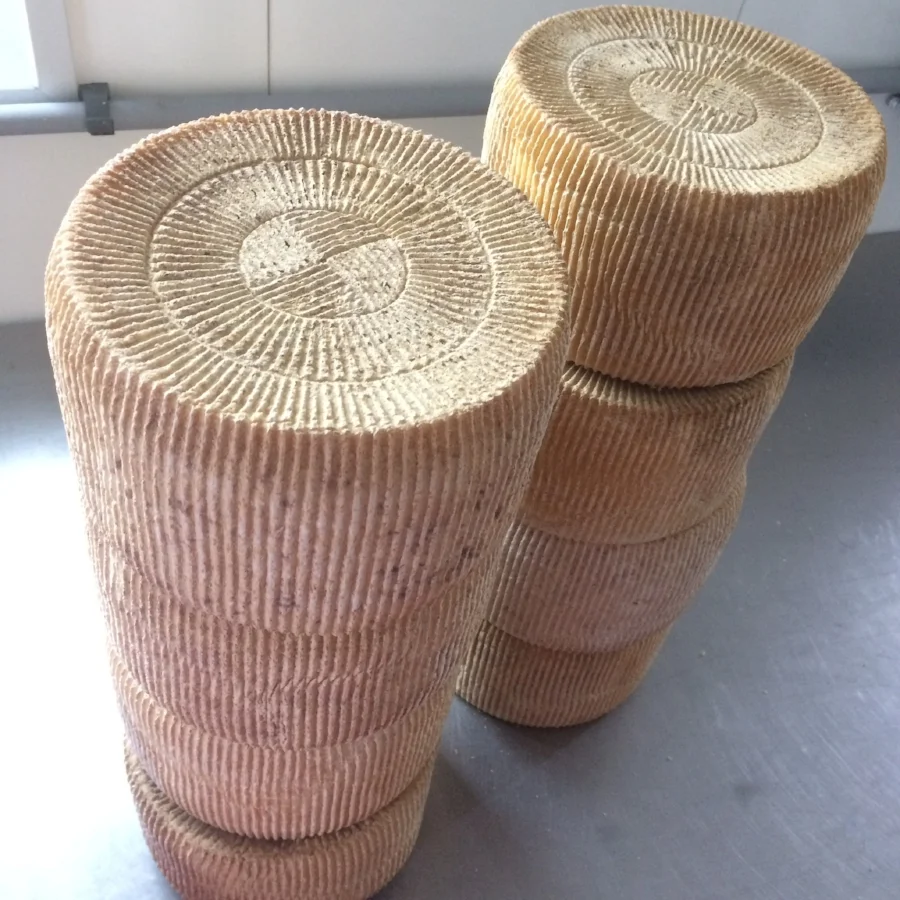  Antares! One of our most beautiful cheeses. 