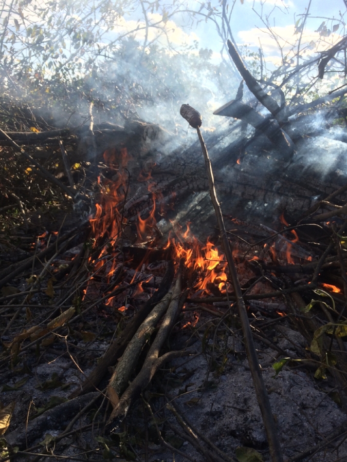  besides more pasture for the cows, a happy perk of brush clearing is fires to roast hot dogs 