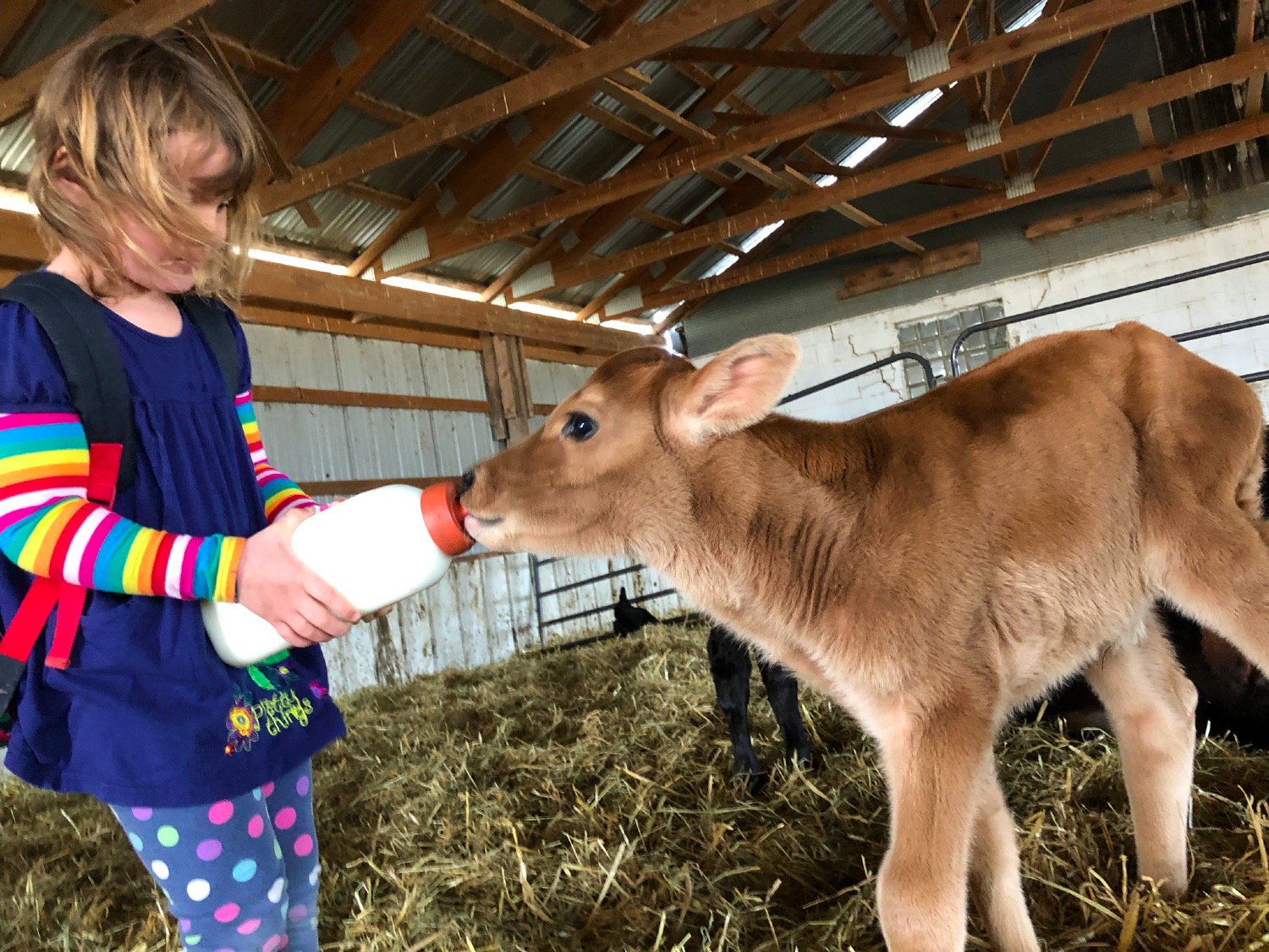  Best farm chore! 