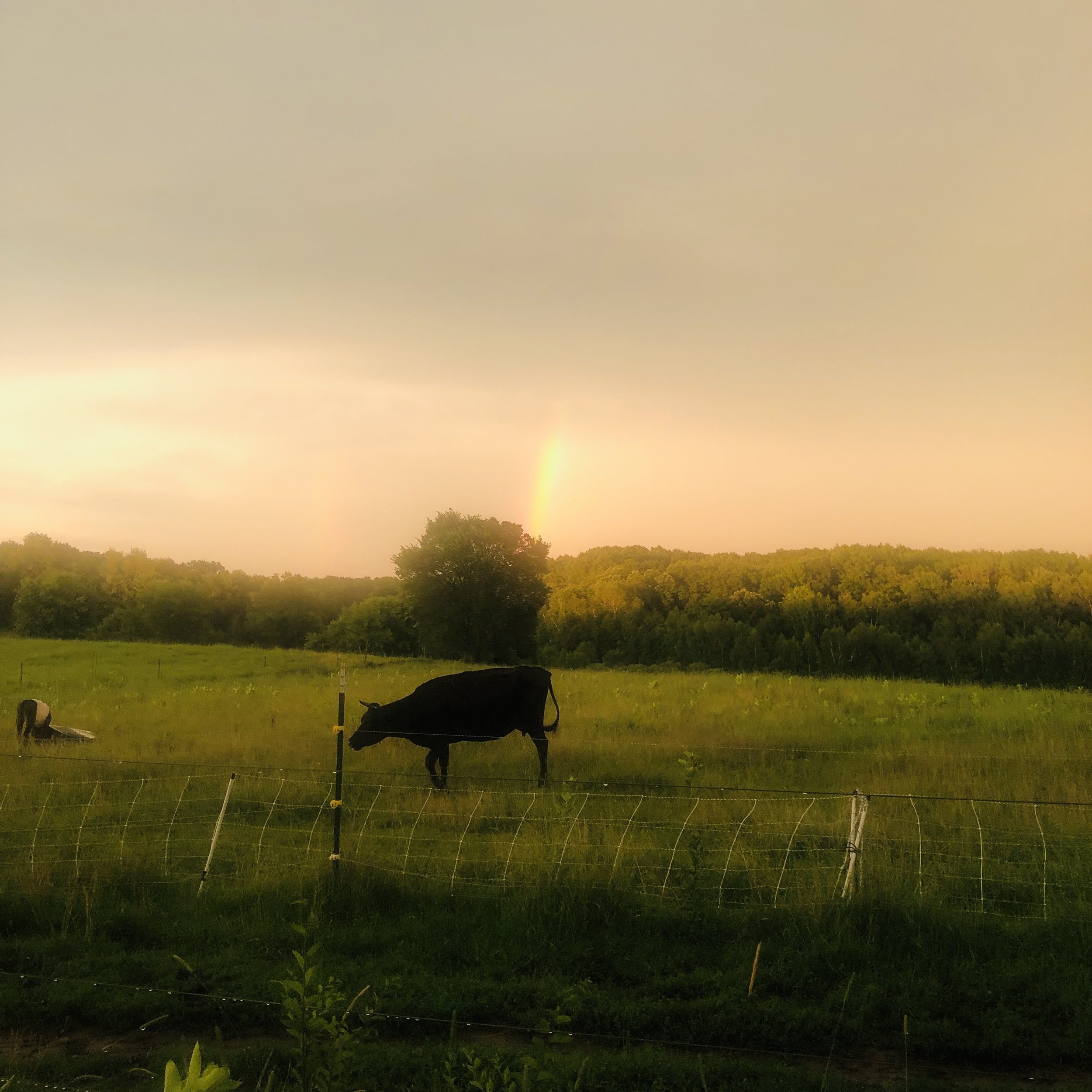  one end of the rainbow 