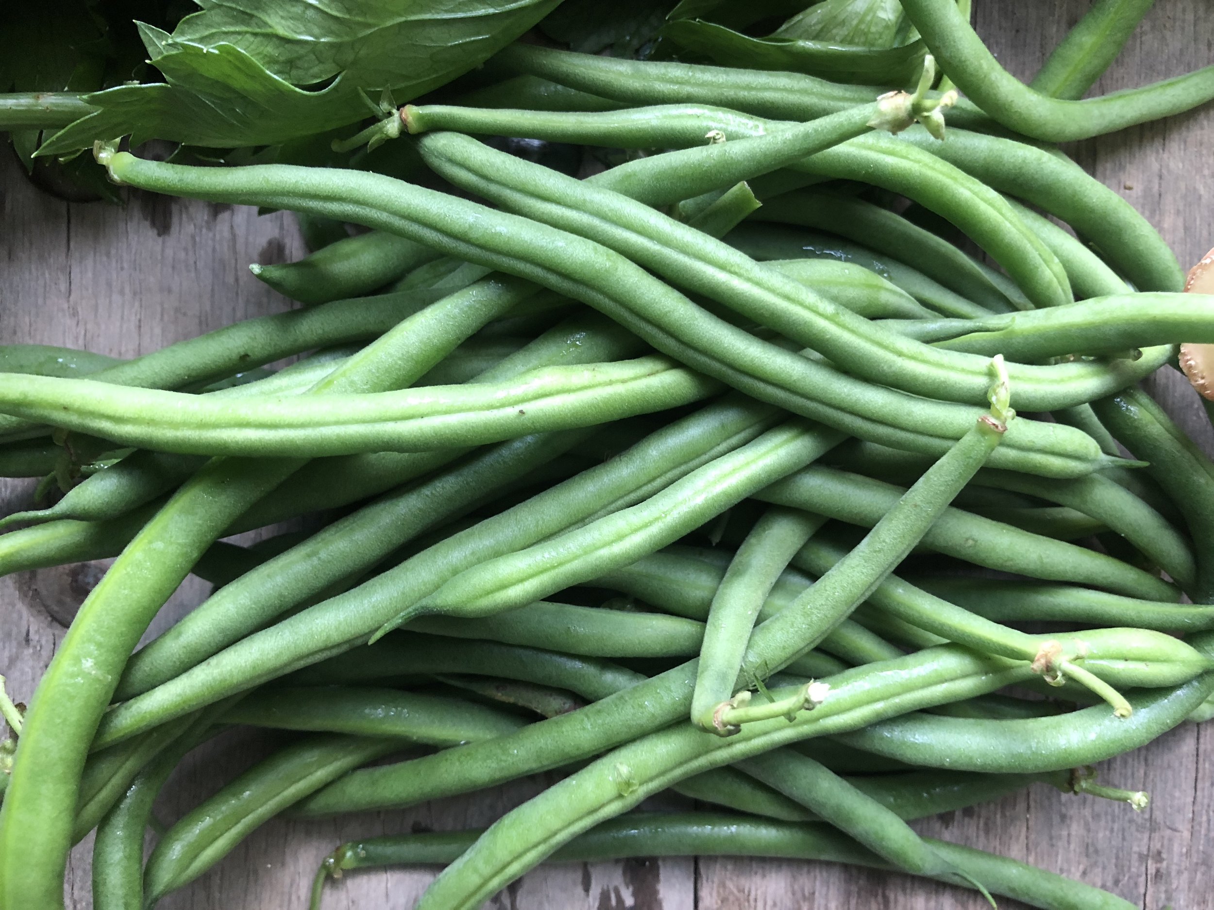  Hey there! Green beans!   