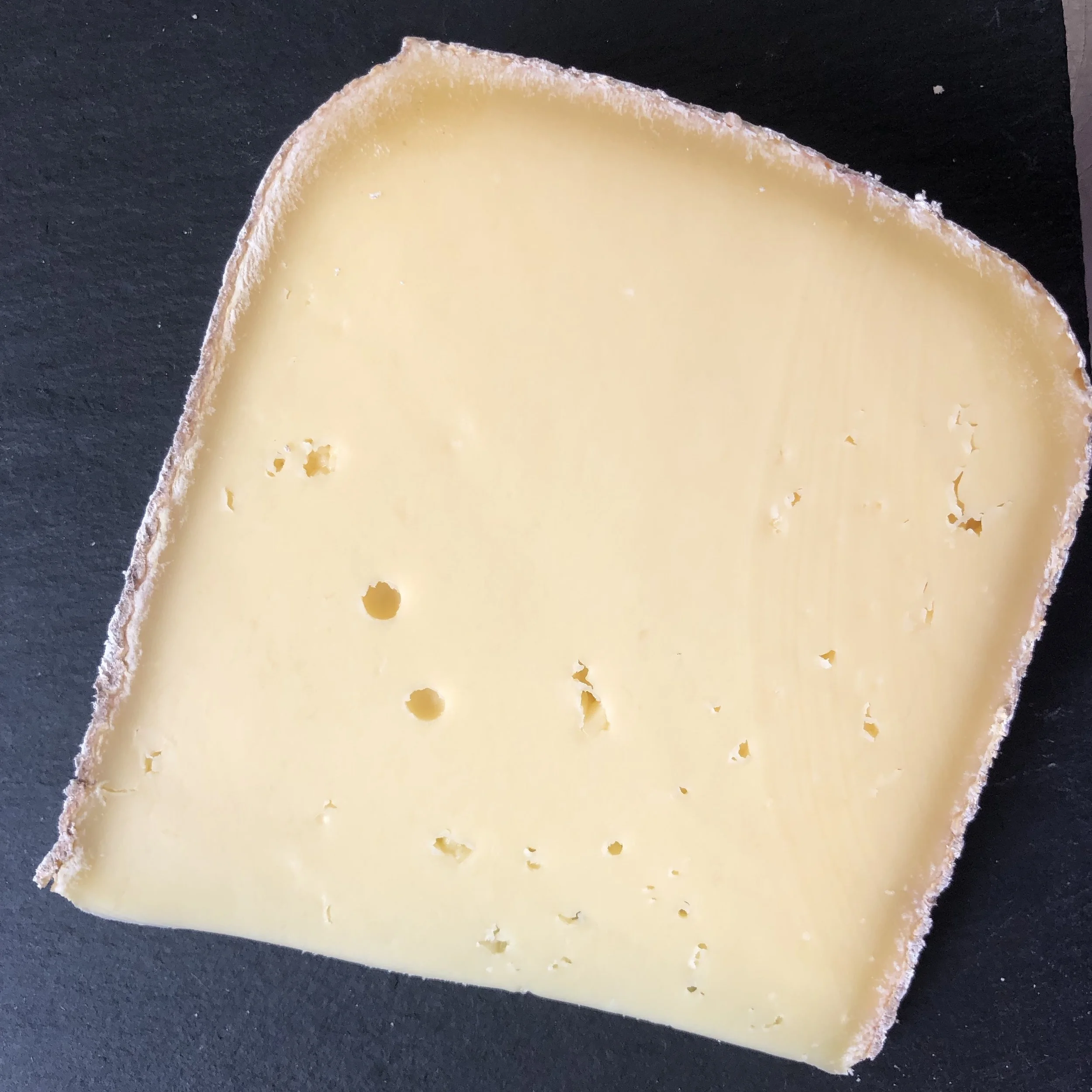 Little round holes in the cheese are one of my favorite things in life.