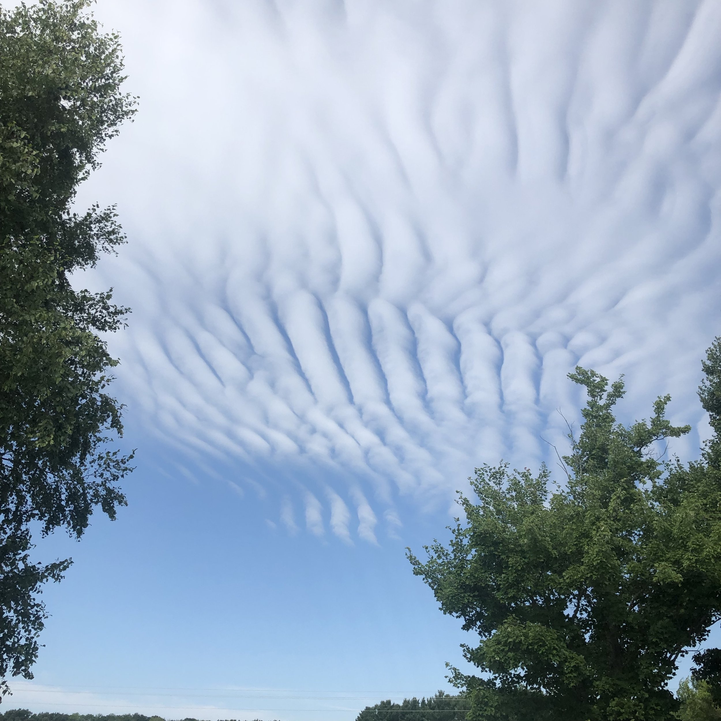  rows of clouds 