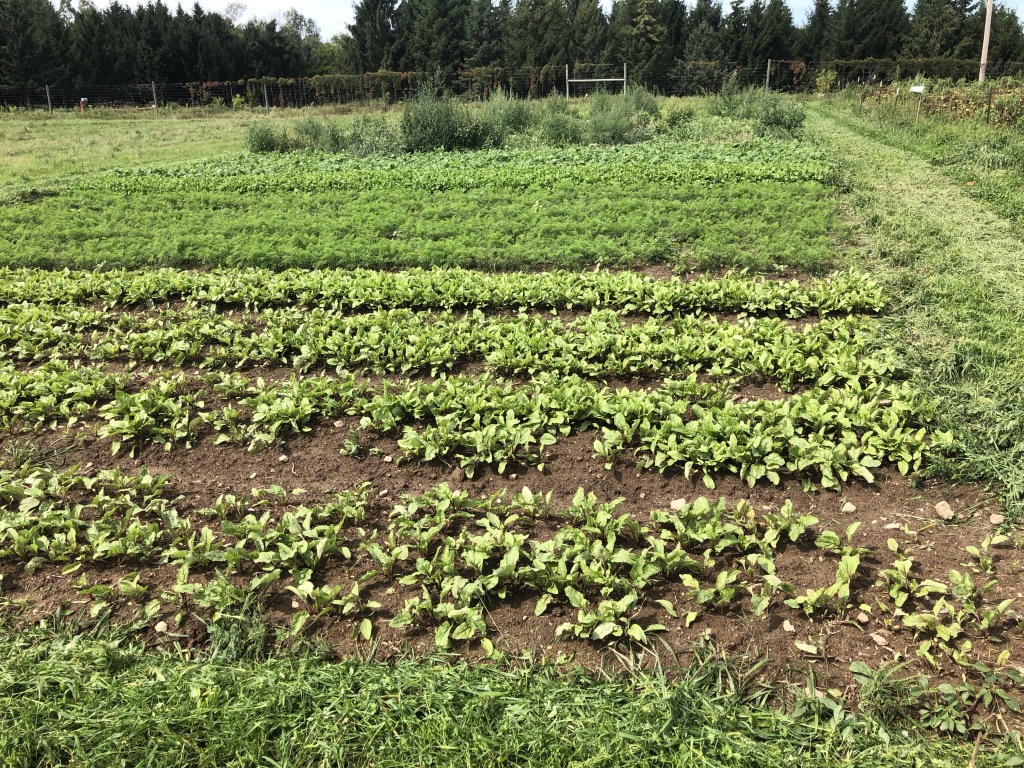  little patches of washout from big rains last month 