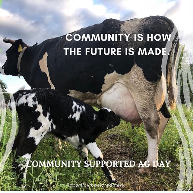If we work together, farmers and eaters we can keep small farmers on the land. value connection.  Learn what seasonal looks like. Buy direct.  #nationalcsaday #nationalcsasignupday #buydirect #buylocal