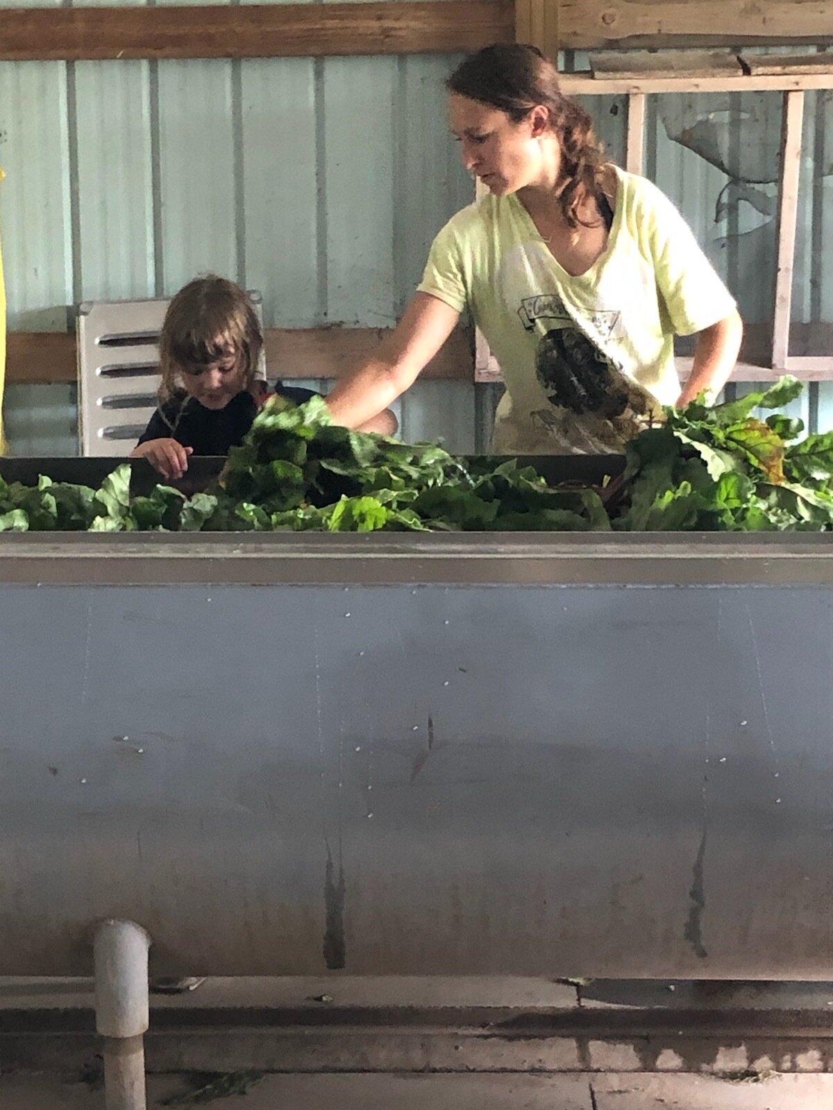  Sadie and Erica washing beets 