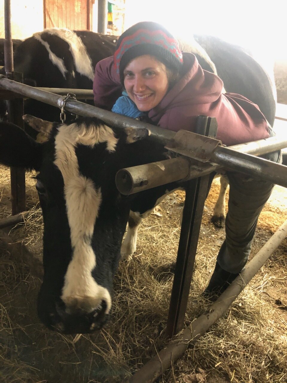  THANK YOU HANNAH! Thank you Duku and Thank you to all the other cows! 