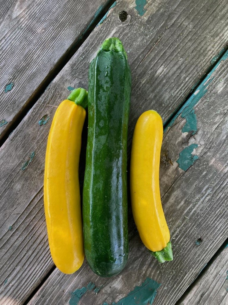 Zucchini