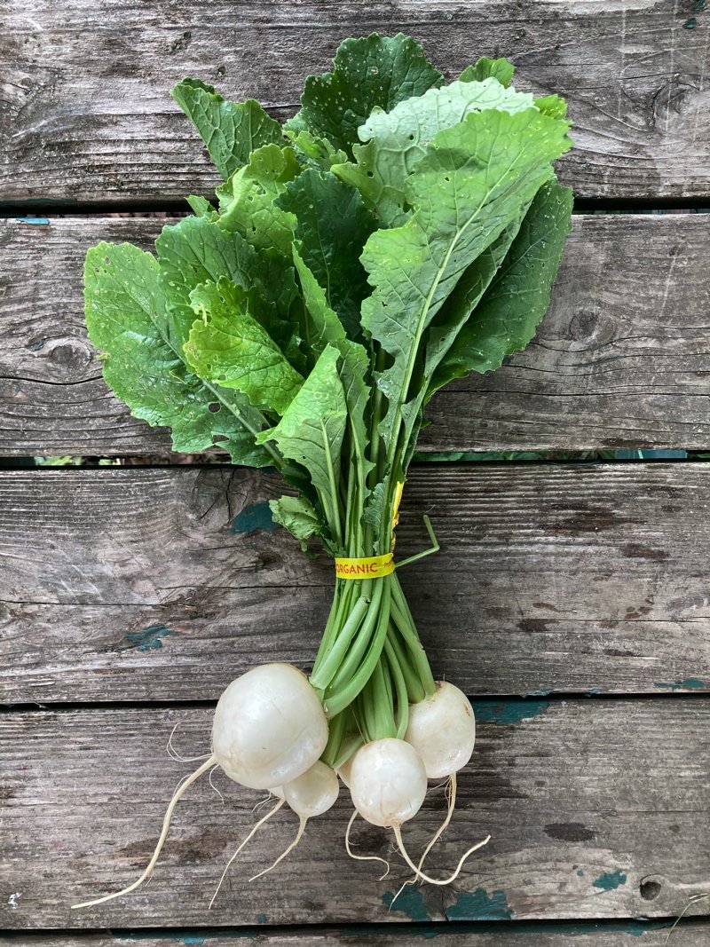 salad/ hakurei turnips