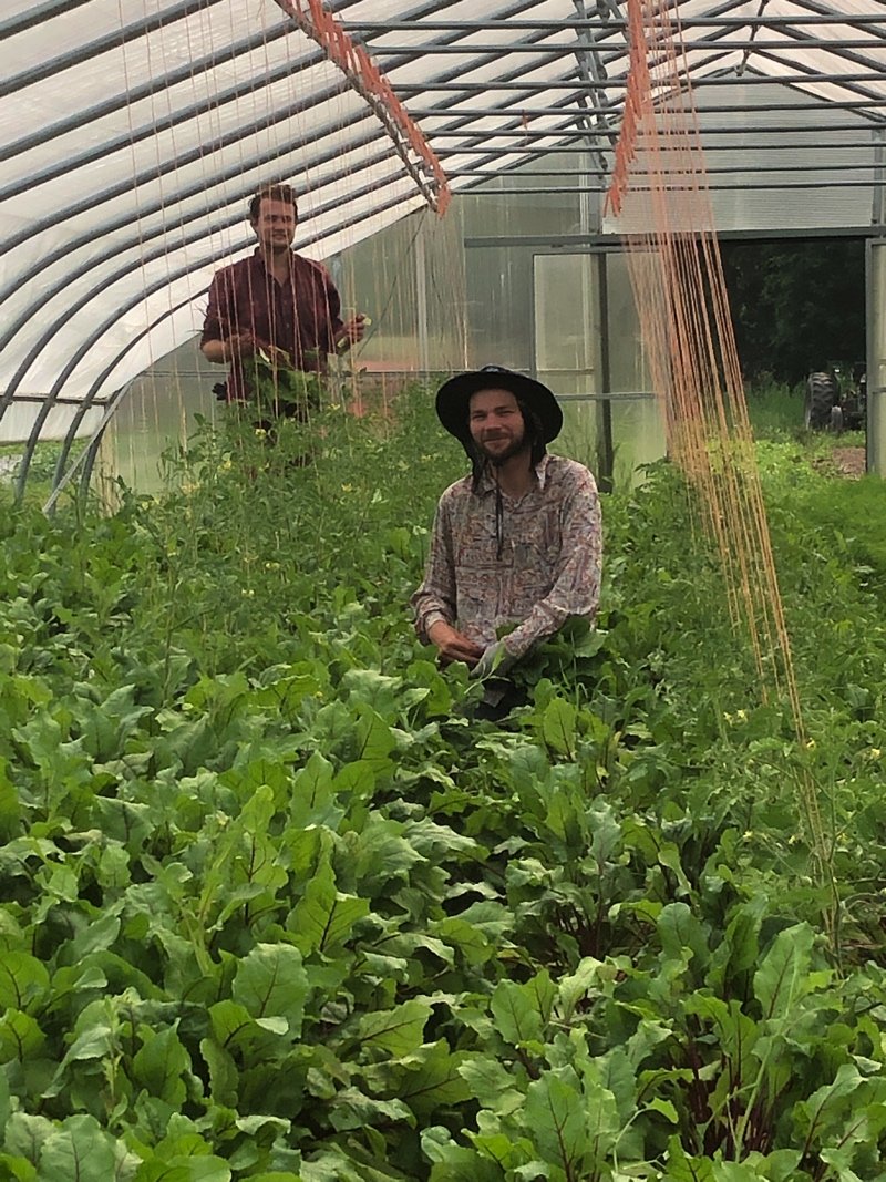 Ben and Phil in the beutiful jungle of the hoophouse