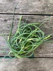 garlic scapes