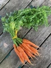 greentop carrots