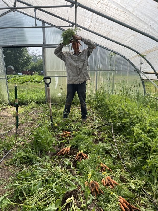  and Phil!  He’s hiding behind the carrots. 