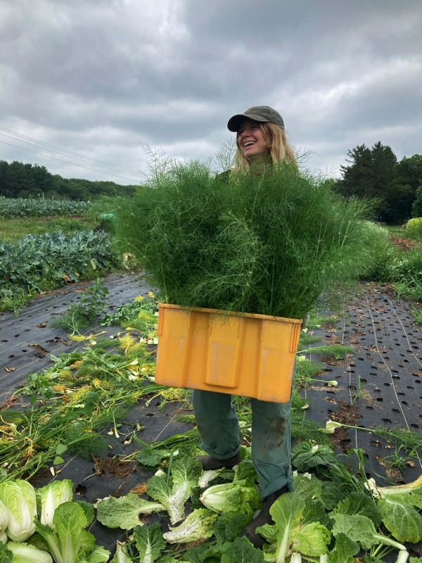  fennel and smiles from Alayna 