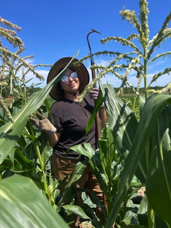  Magdalen hoeing corn 