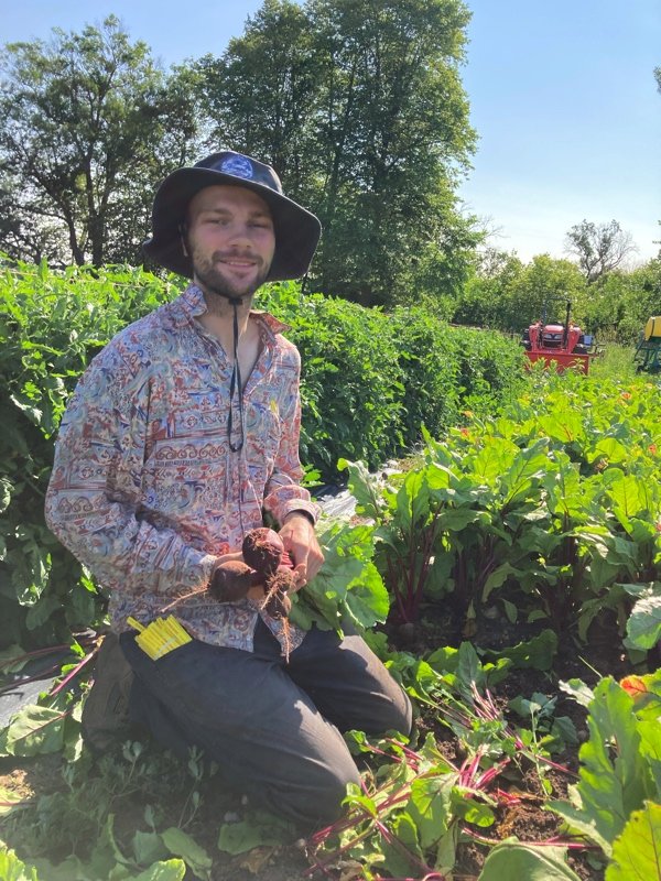  Phil making beautiful beet bunches 