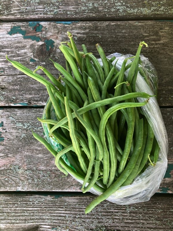 green beans