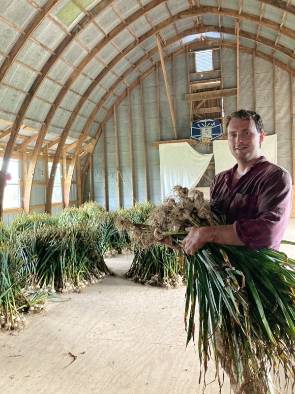  a couple more garlic harvest pics… here’s Ben! 