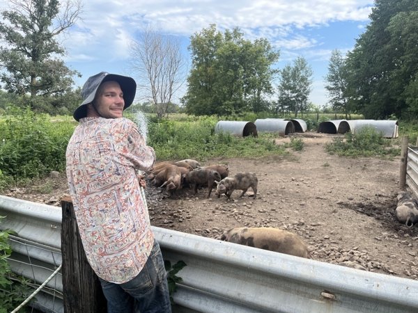  Phil visiting the pigs and giving them some water for a mud pit on a hot day 