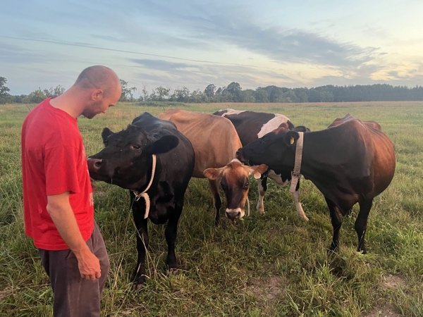  and visiting the cows! 