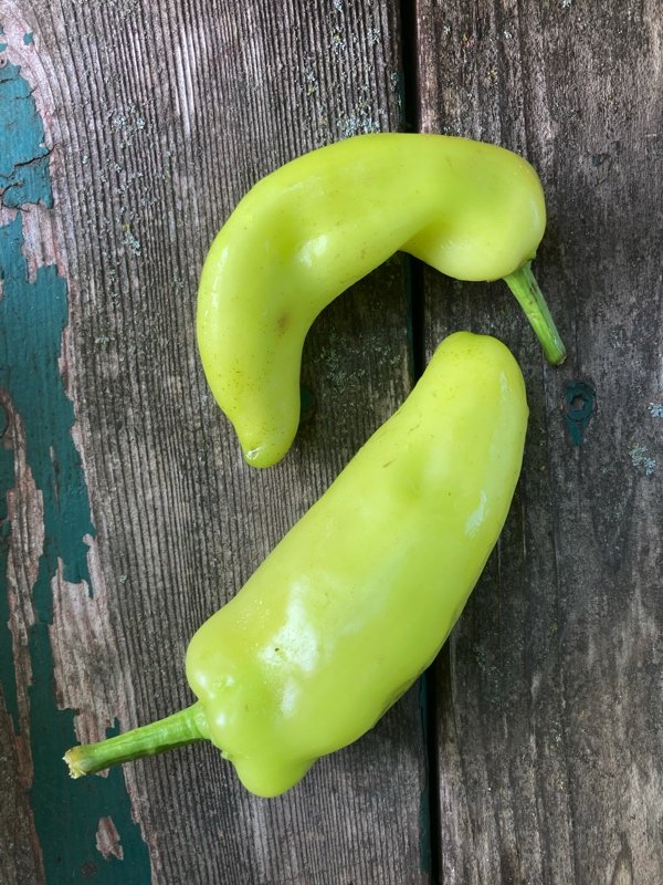 hot wax peppers