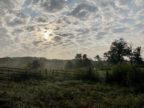  beautiful sky on a misty morning 