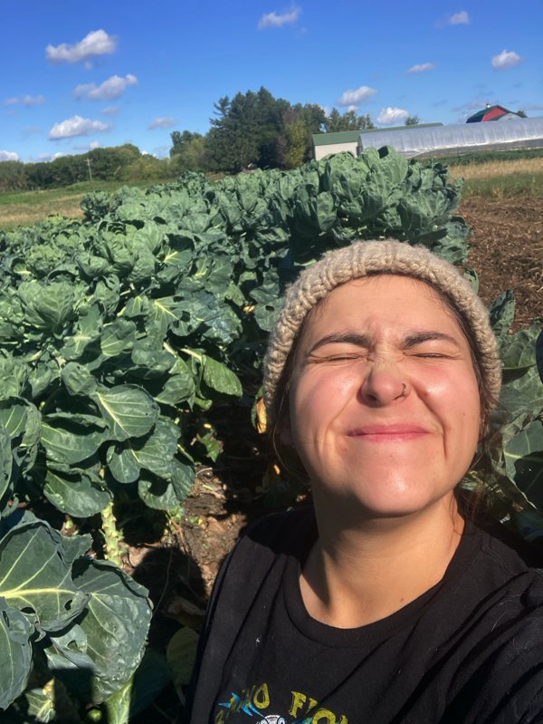  Big Brussels Sprouts Joy! 