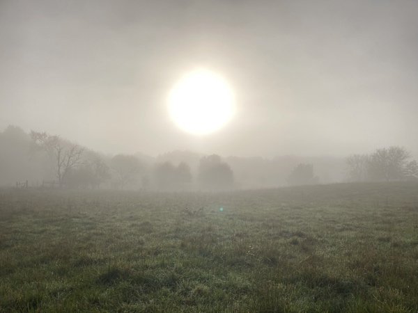  Foggy morning on the farm 