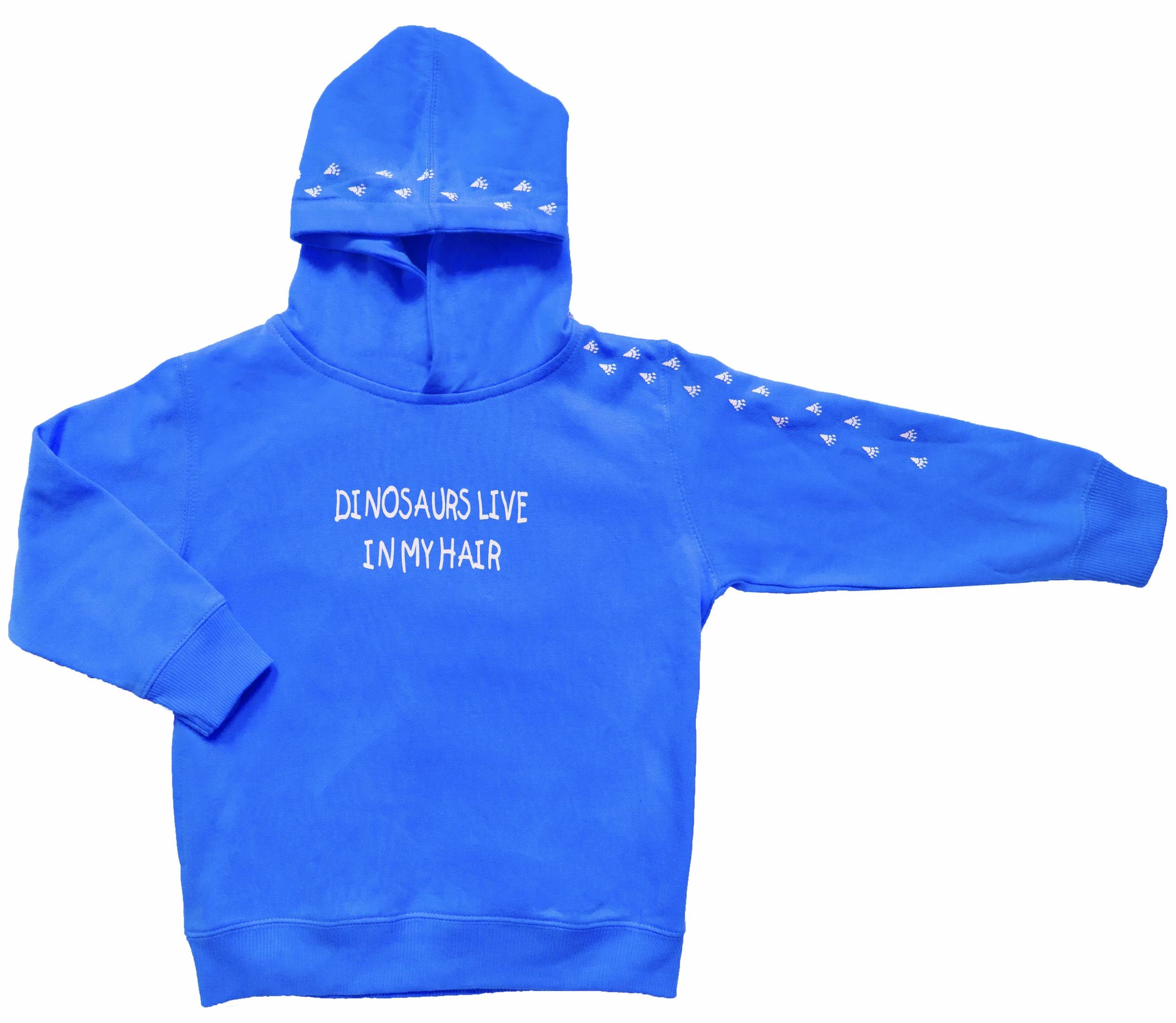 blue hoodie-2.jpg
