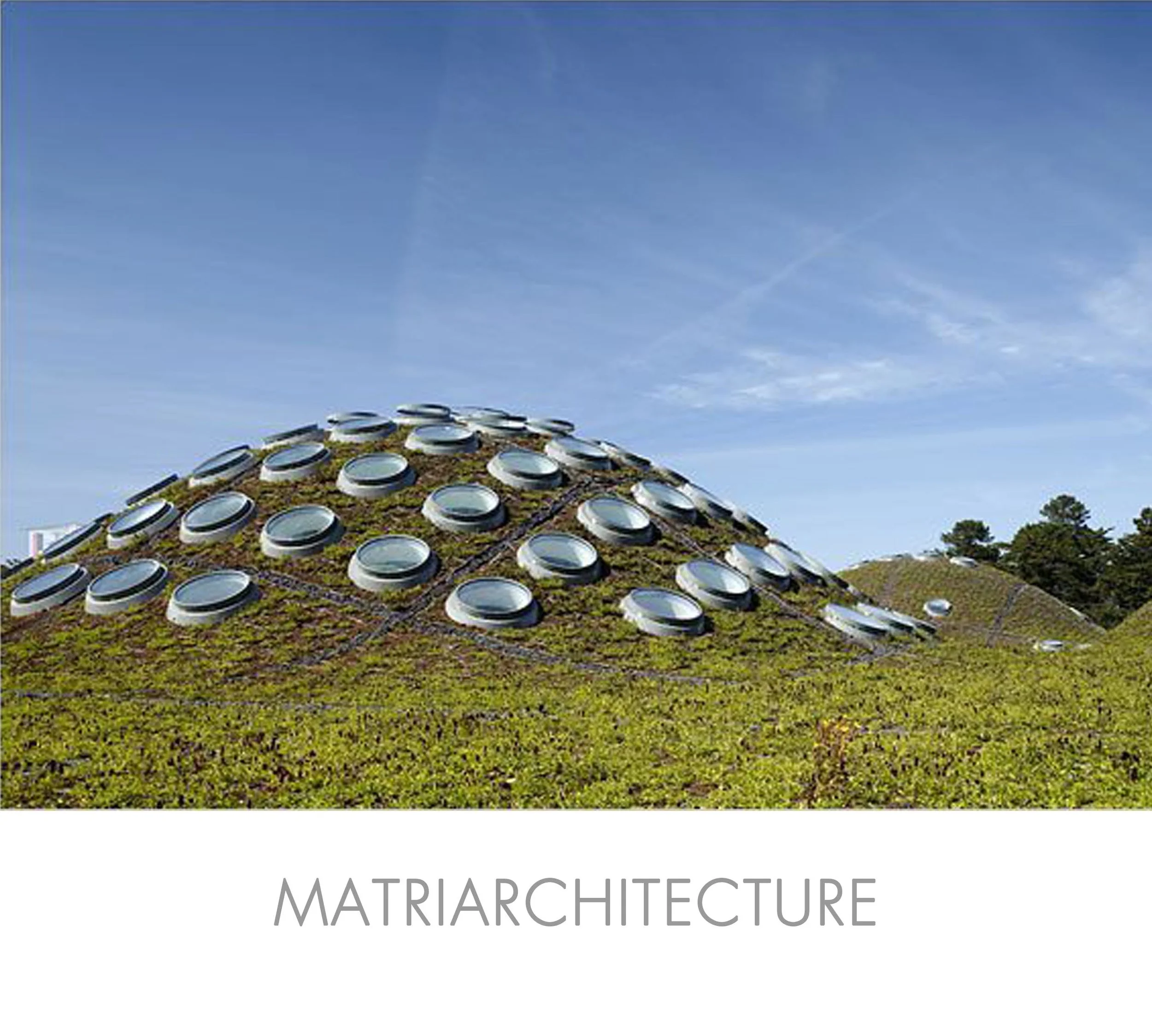 Matriarchitecture_Futura140_25.jpg