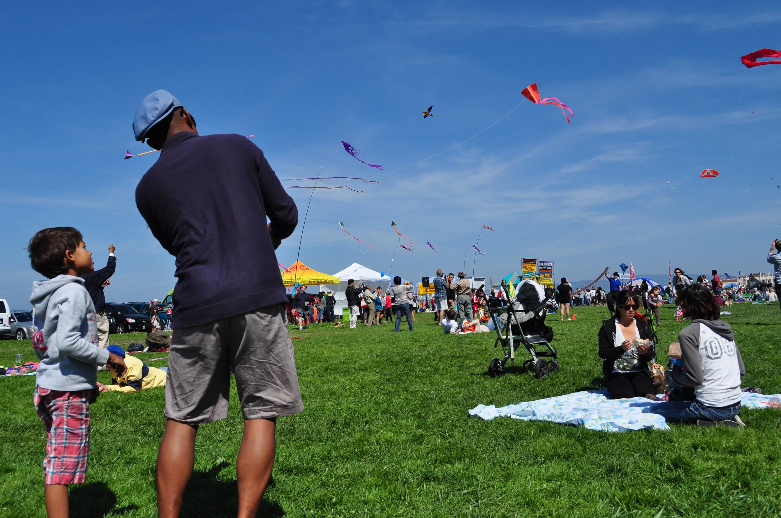  Kites offer a simple lesson in aerodynamics. 