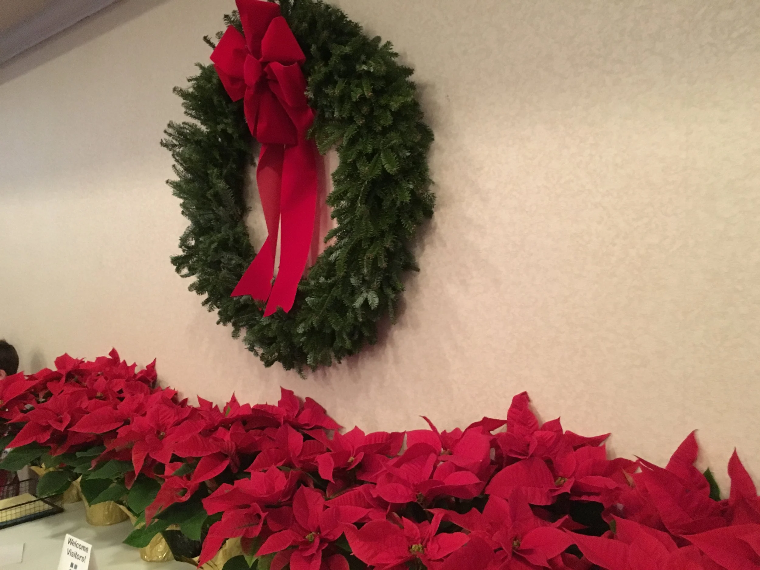 Sunday Worship - 3rd Week of Advent