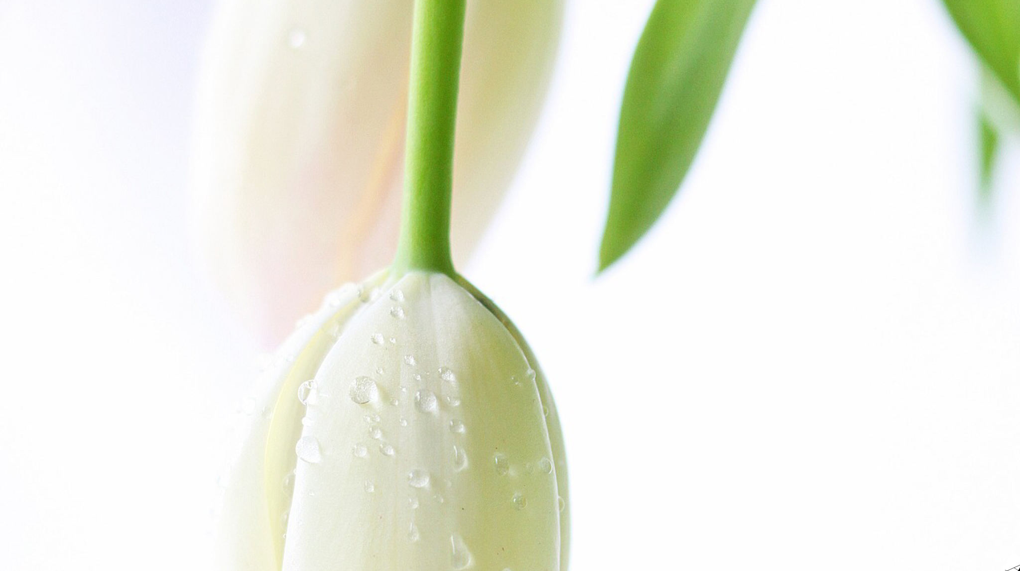 Sunday Worship (Lenten Series)