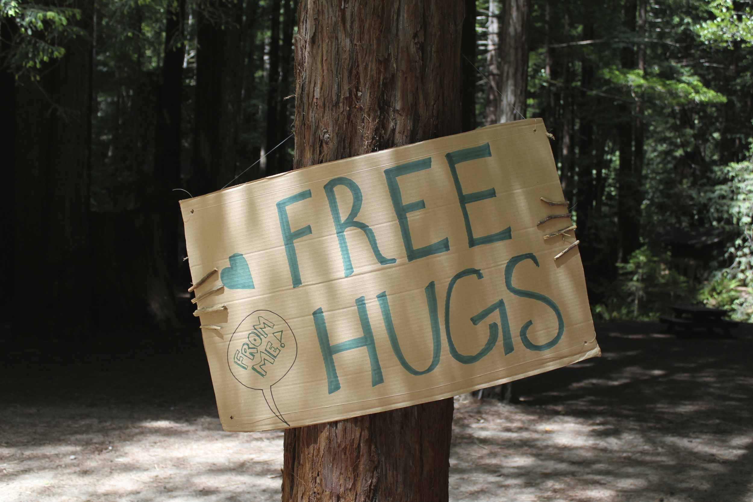 treehug.jpg