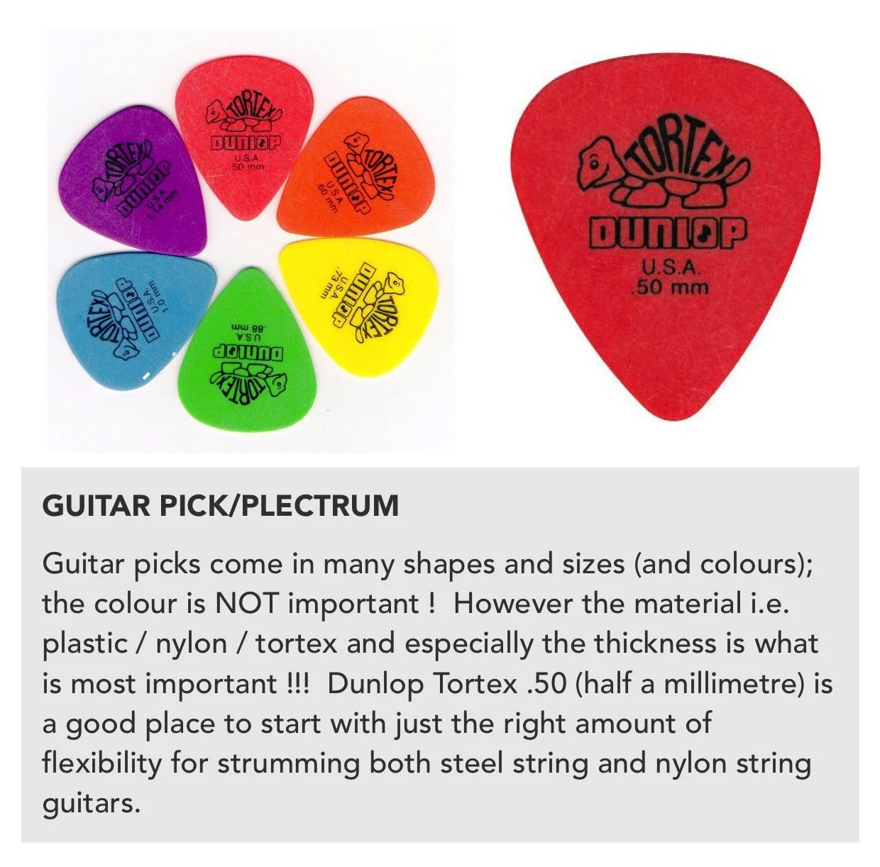 Plectrums.jpeg