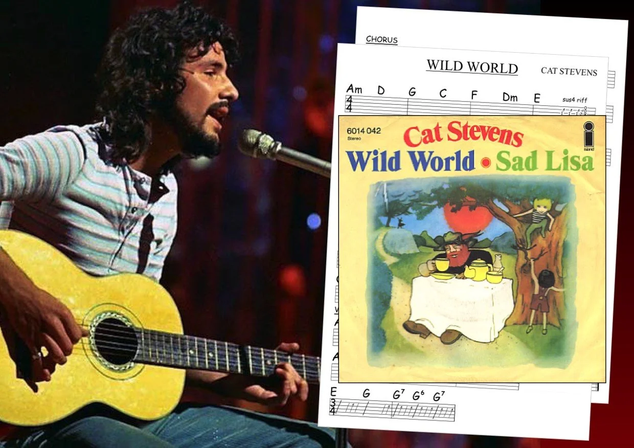 Cat Stevens.jpg