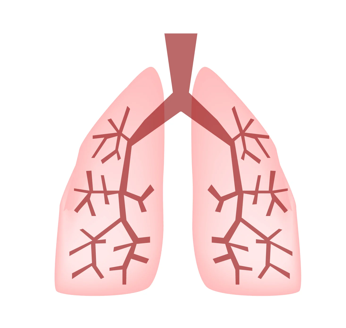 Breathing after spinal cord injury