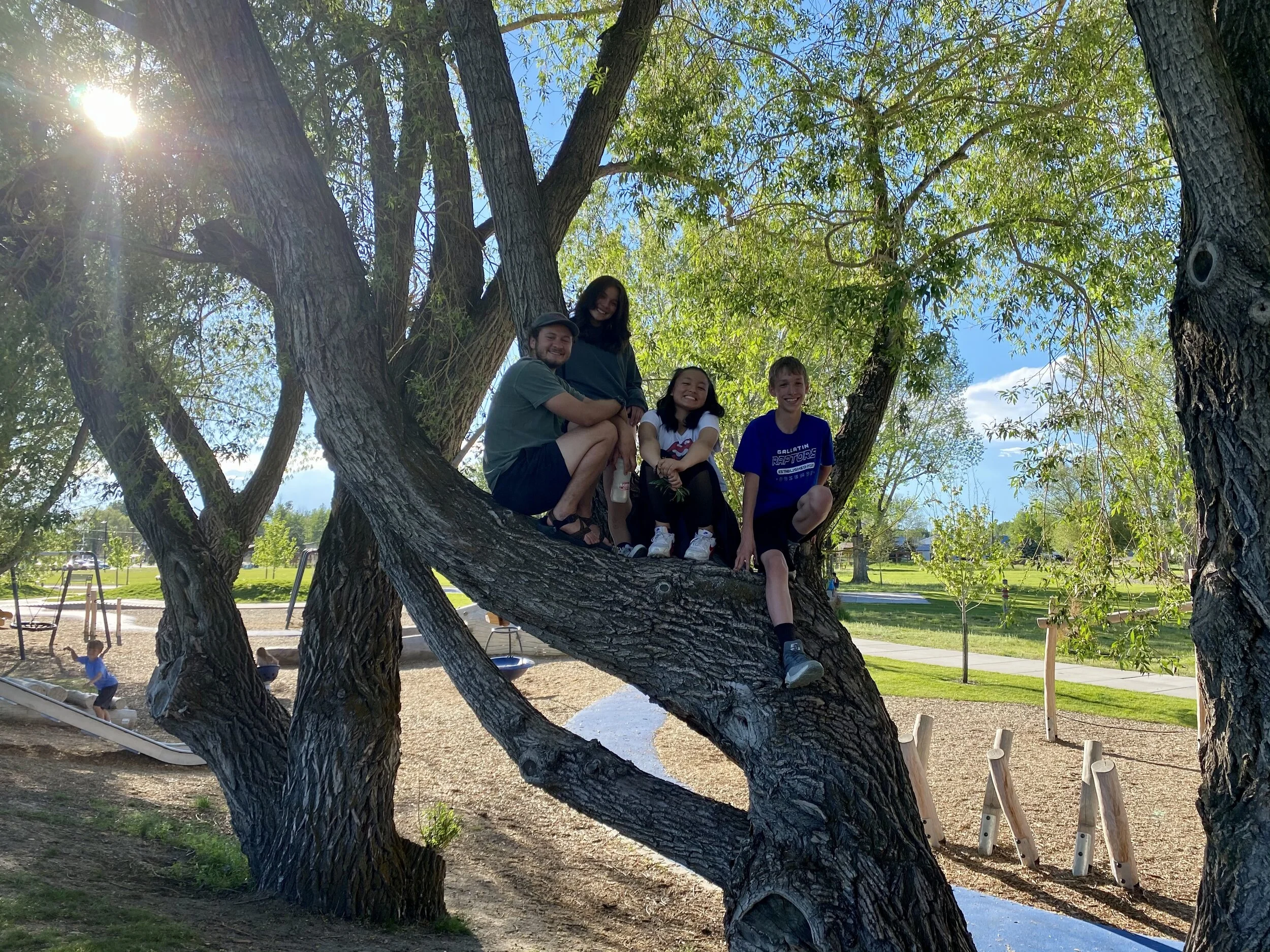 BYEP Summer Programs Update