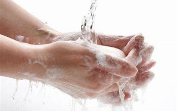 Opotiki: Food Preparation, Infection Control