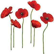 ANZAC poppies.jpg