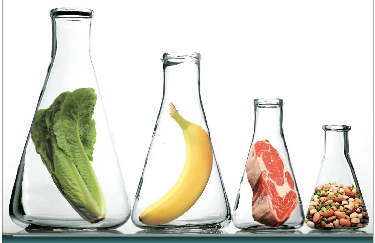 Vocational: Lunch Lab