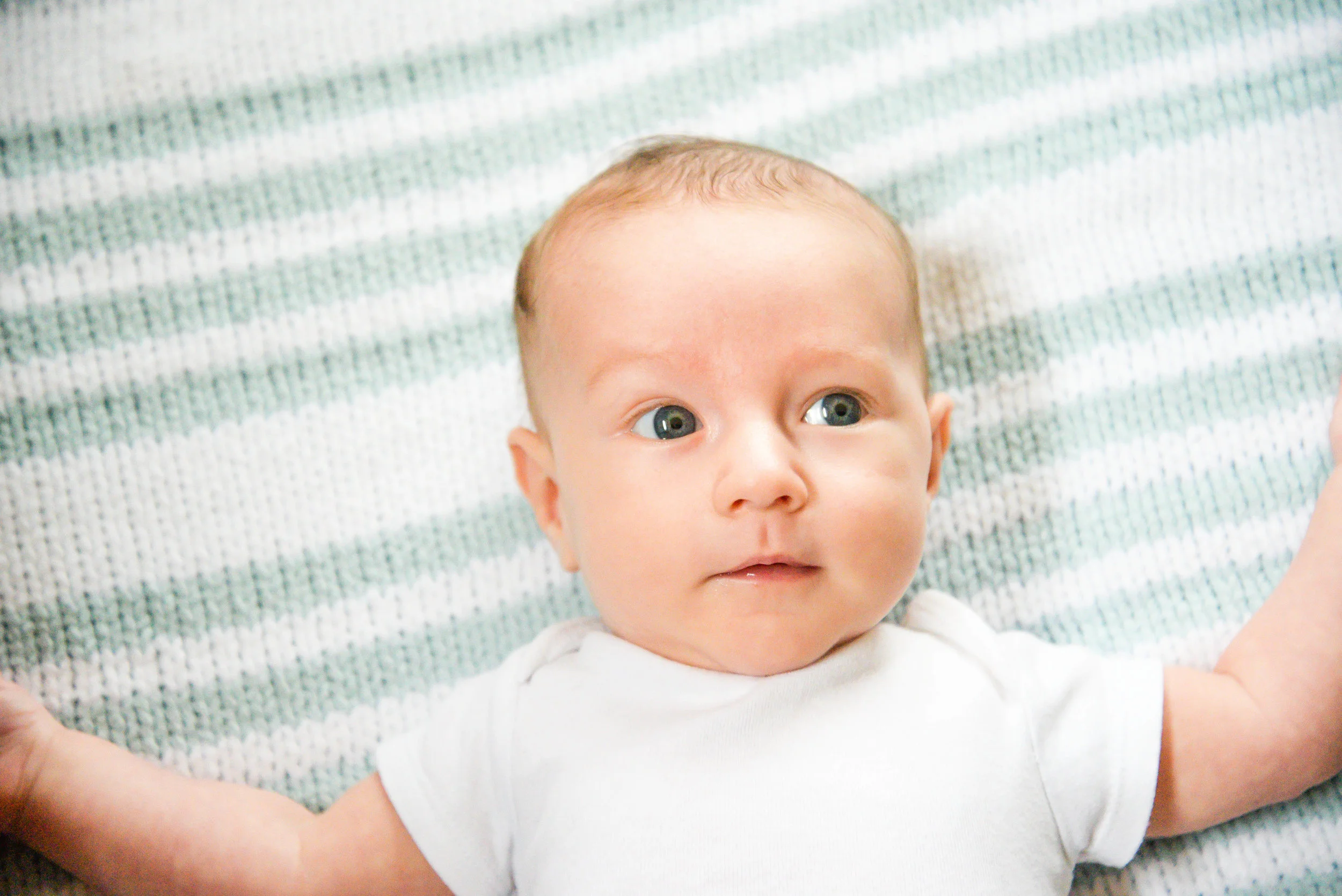 photo: Baby Frankie, 12 weeks