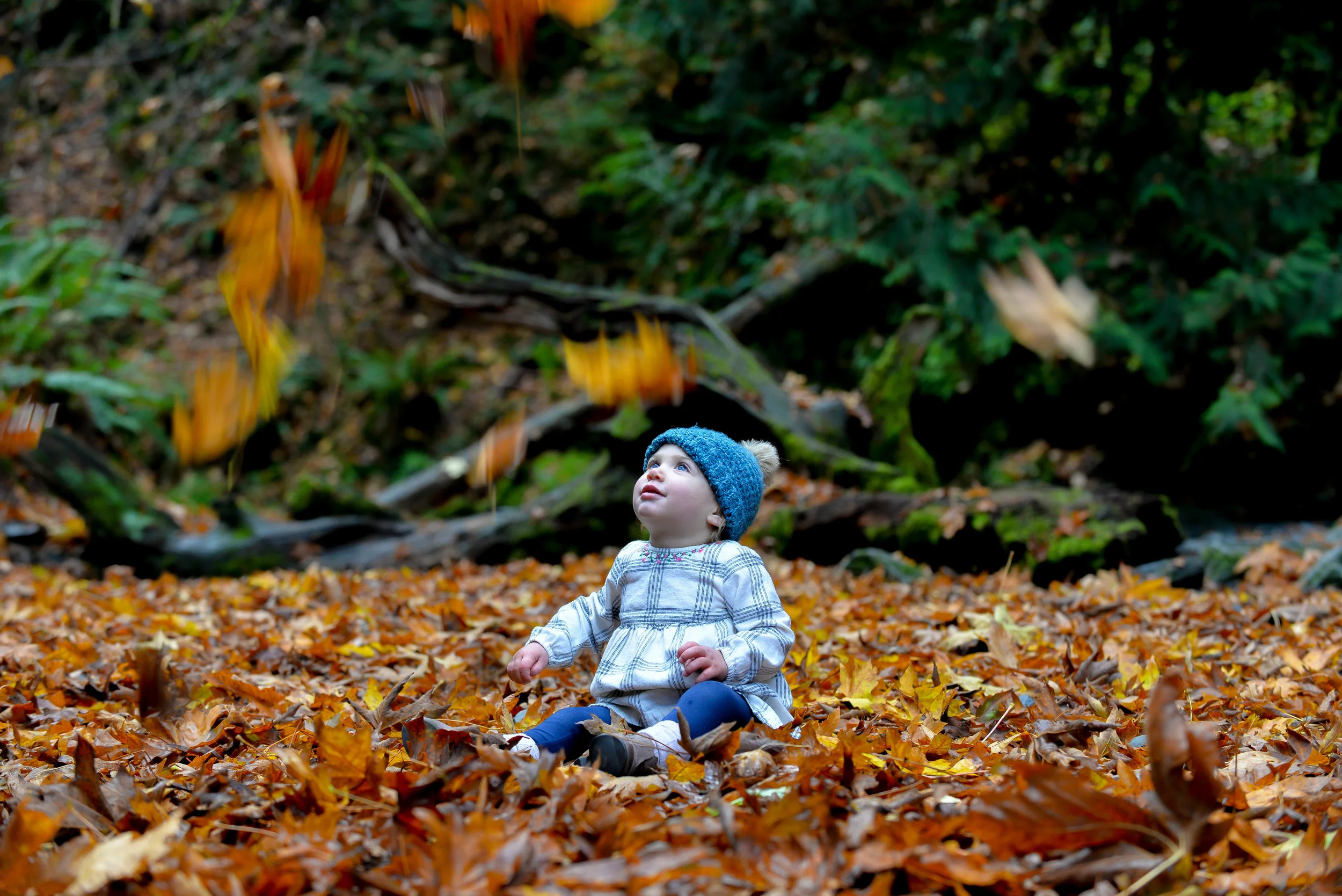DSC_6419.jpg