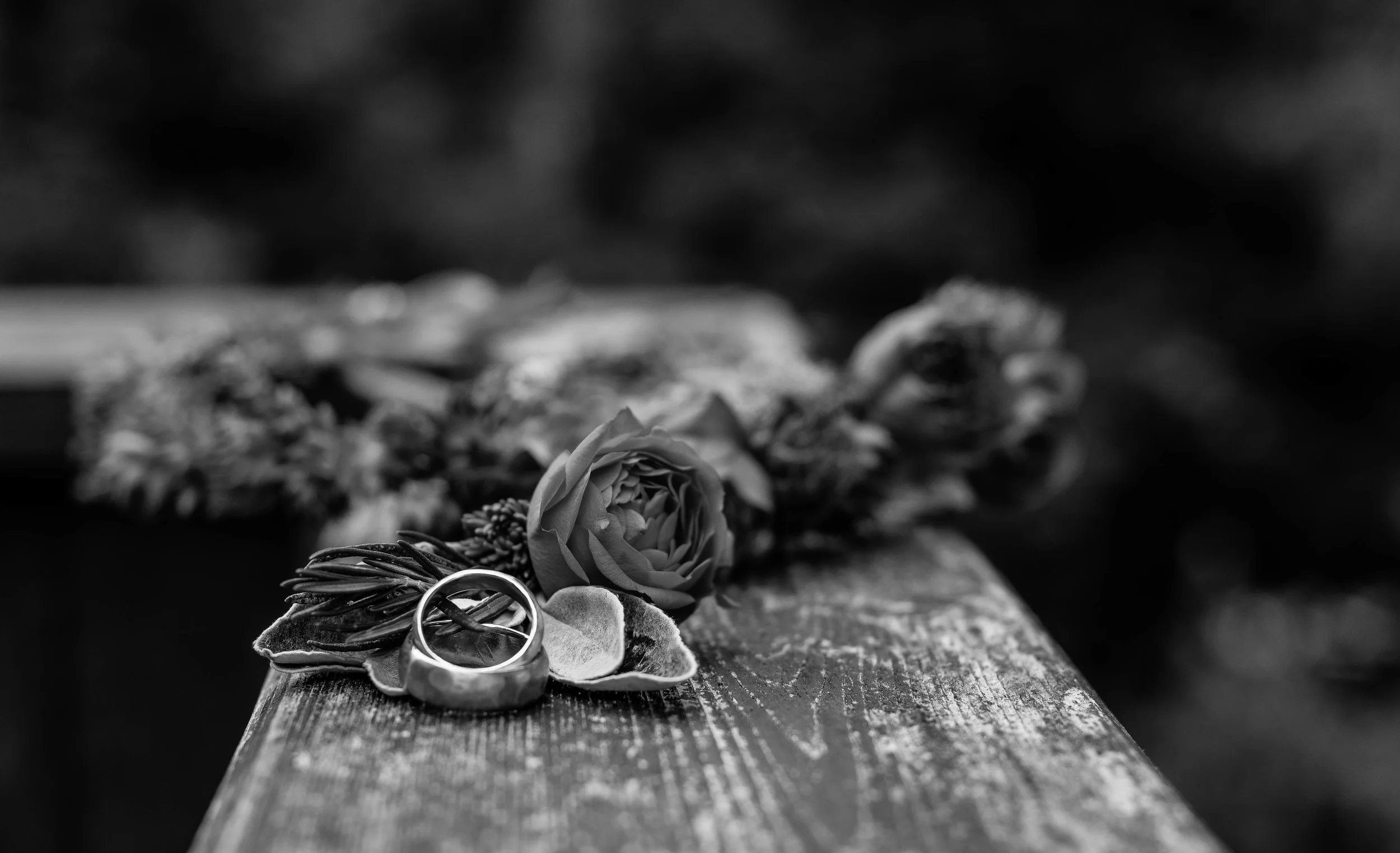 DSC_8696.jpg