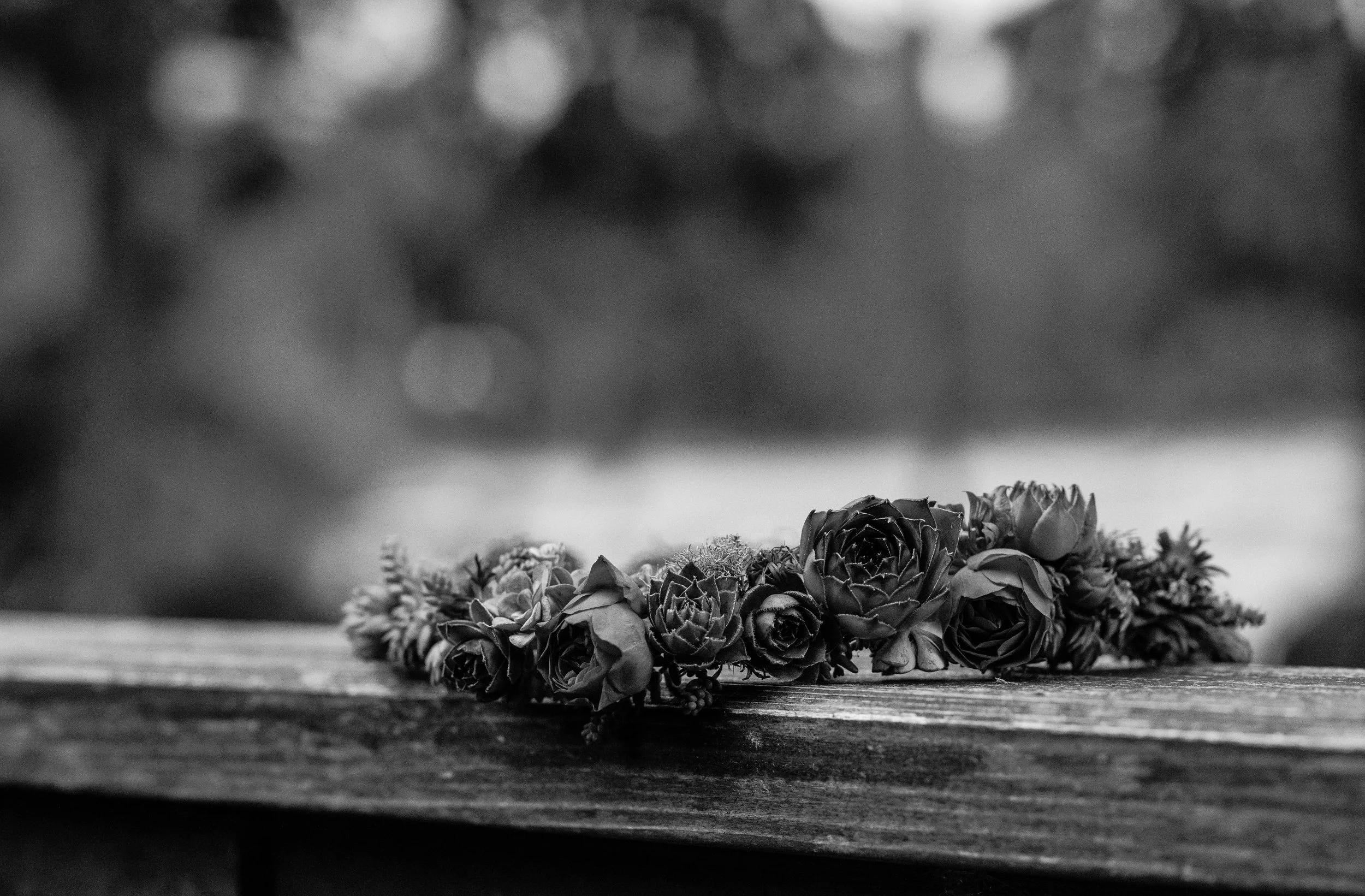 DSC_8453.jpg