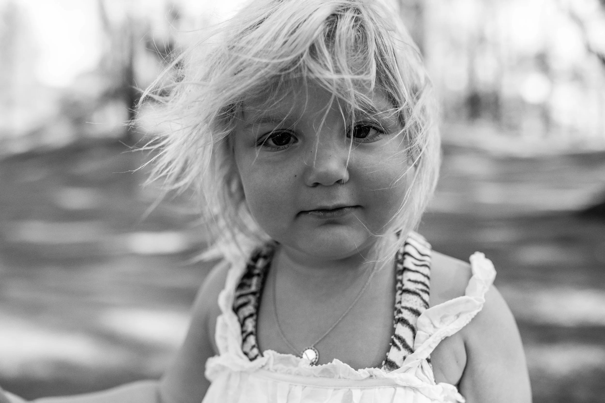 DSC_5186.jpg