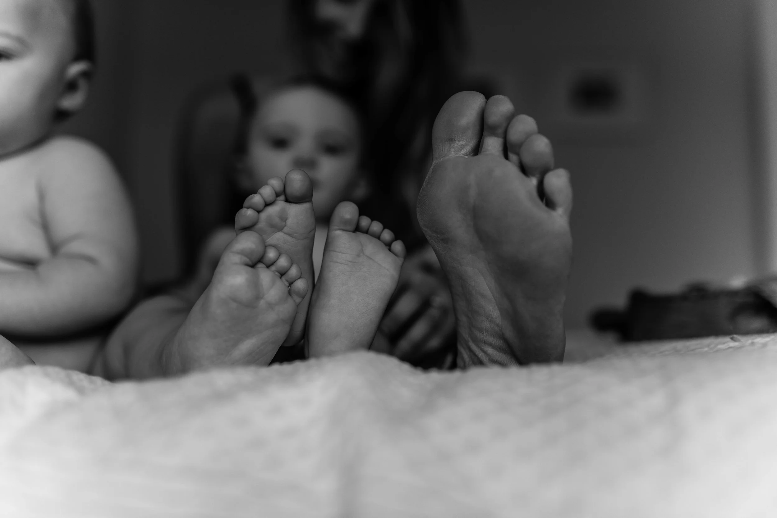 DSC_7532.jpg
