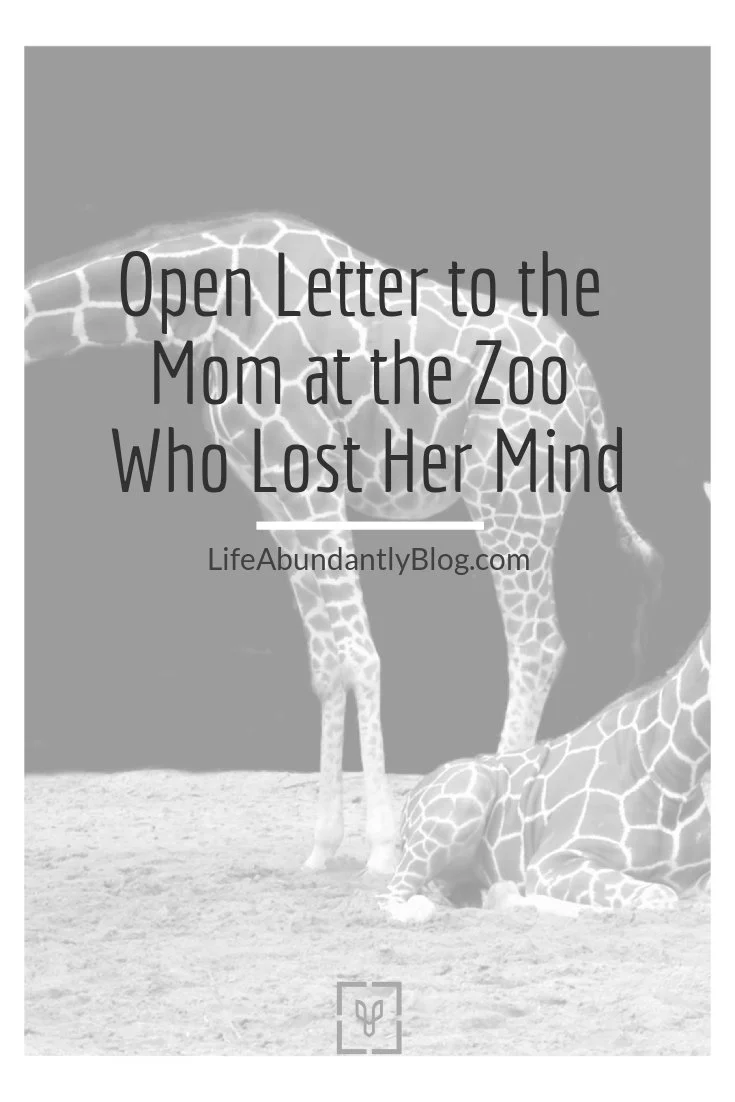 Open Letter to the Mom at the Zoo Who Lost Her Mind